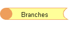 Branches